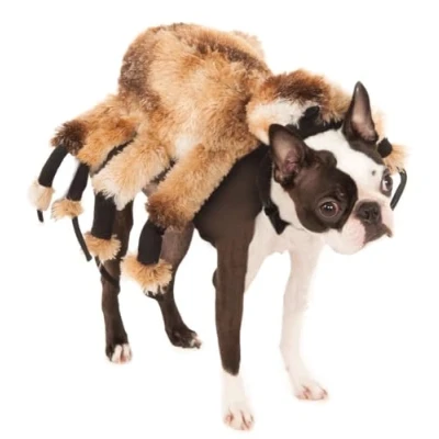 Image of Official Rubie&#039;s Giant Spider Pet Dog Halloween Costume, Size: Small Neck to Tail 11 inch, Chest 14 inch