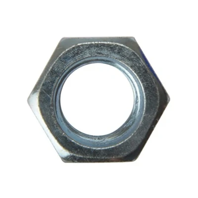 Image of ForgeFix Hexagonal Nuts M20 Zinc Plated Bag 10