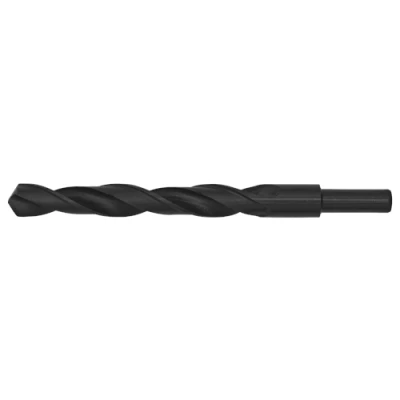 Image of Sealey Worksafe Ø15 x 170mm Blacksmith Bit