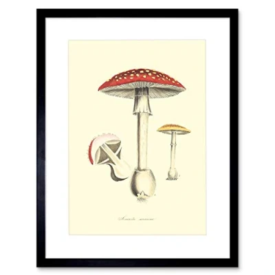 Image of Wee Blue Coo Fungus Amanita Muscaria Fly Agaric Magic Mushroom Art Print Framed Poster Wall Decor 9x7 inch