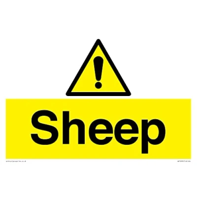 Image of Sheep Sign 300x200mm A4L