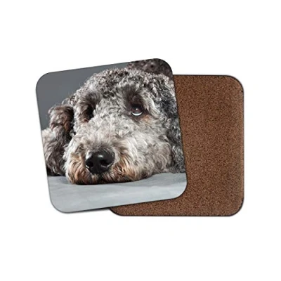 Image of 1 x Cute Labradoodle Coaster Dog Puppy Pet Girls Animal Adorable Dogs #15484