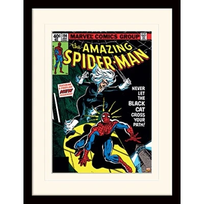 Image of Spider Man Spiderman (Black Cat) 30x40 cm Mounted &amp; Framed