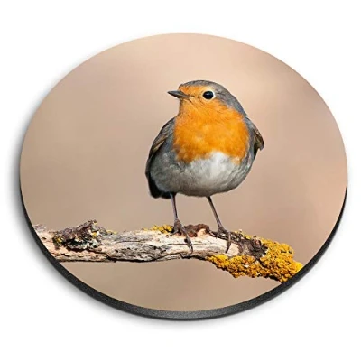 Image of 1 x Round MDF Magnet Red Robin Bird Garden Cute 2062