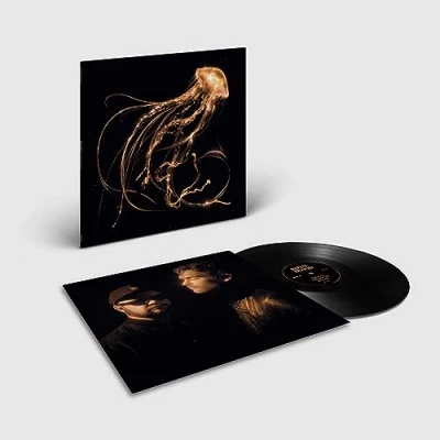 Image of Back To The Water Below [VINYL]