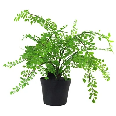 Image of Leaf Artificial Plant with Pot, Maidenhair Fern, 35cm