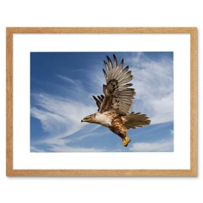 Image of Wee Blue Coo Ferruginous Hawk Prey Hunting Flight Bird Framed Art Print Picture F12X341