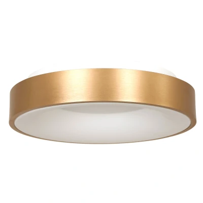 Image of Ring Sled Cylindrical Ceiling Light Gold Matt, Plastic White