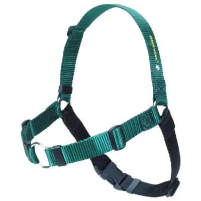 Image of Softouch SENSE ation No Pull Dog Harness Green Medium Large