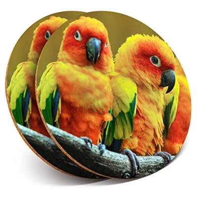 Image of 2 x Round Coasters Lovebirds in Tree Love Bird Parrot Cork Backed Home Kitchen Accessory Tea Coffee Mug Mat #21997