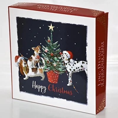 Image of Box of 12 Assorted Playful Xmas Friends Square Christmas Cards Card Boxes