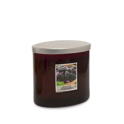 Image of Heart &amp; Home Twin Wick Ellipse Candle (Simply Mulberry)