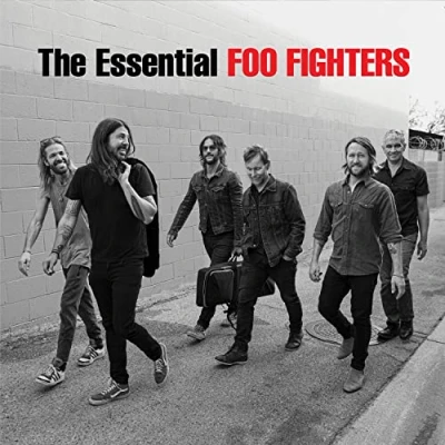 Image of Foo Fighters The Essential Sealed 2022 UK 2 LP vinyl set 196587329419