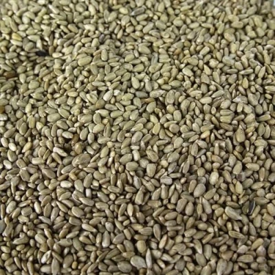Image of SQUAWK Sunflower Hearts Wild Bird Food Finest Bakery Grade Garden Seed Mix Husk Free and Dehulled No Mess Seeds Nutritious, Natural Healthy Feed Mixture Balanced Vitamin Recipe (1L Tub)