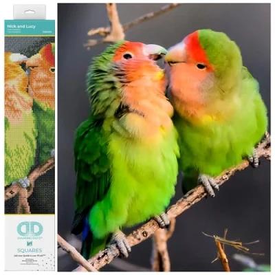 Image of DIAMOND DOTZ DQ10 Intermediate Kit, Peach Faced Love Birds, 41 x 41cm