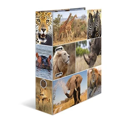 Image of HERMA Folder A4 Lion Set, 10 Pieces, 7 cm Wide, Children&#039;s Ring Binder with Africa Animal Motif, Colourful Lever Arch File Inner Print for Boys and Girls