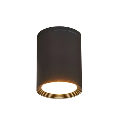 Image of Lucande Minna dark grey ceiling light for outdoors