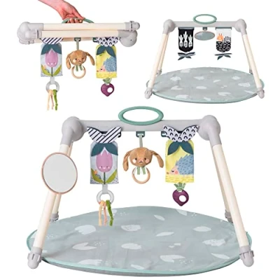 Image of Taf Toys TAF13075 Urban Garden, Double Sided, Foldable Play Gym with 3 Sensory Hanging Safe Mirror. Perfect to use Bouncers. Suitable for Baby Boys &amp; Girls from Birth