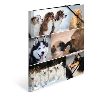 Image of HERMA Elastic Folder Animals with Dogs Motif, A4, Sturdy Cardboard, Inner Print, 1 Span