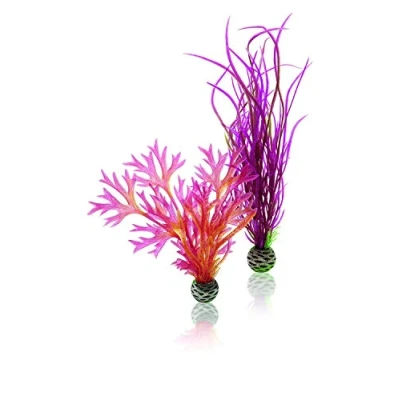 Image of biOrb Plant Set M red and pink
