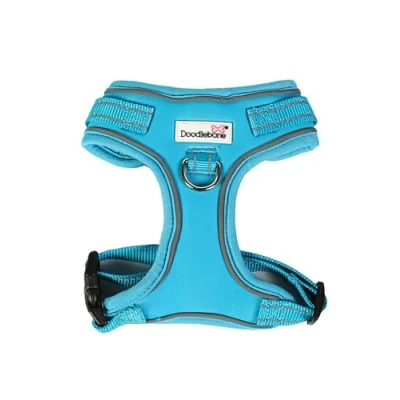 Image of Adjustable Airmesh, Aqua, 2 3