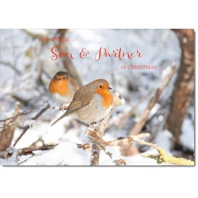 Image of doodlecards Son and Partner Christmas Card Two Robins in Tree Large A4 Size for &amp; with Plain Envelope