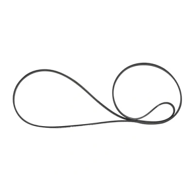 Image of Masterpart Drum Drive Belt 1244 5PJE To Fit Belling, Blomberg, Flavel, Lamona Washing Machines