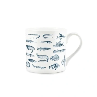 Image of Vintage Fish Mug Fishing &amp; Angling Gift Bone China Tea/Coffee Present