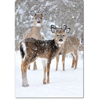 Image of doodlecards Pack of 10 Christmas Cards and Envelopes Wildlife Deer. Printed in UK, Premium Quality &amp; 100% Recyclable.