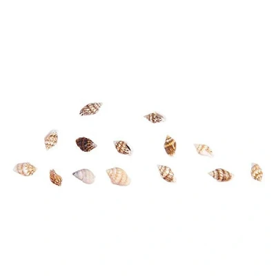Image of 30Pcs Tiny Sea Shell Ocean Beach Spiral Seashells Craft Miniature Fairy Garden Critter Theme Party Wedding Decor Mini Conch