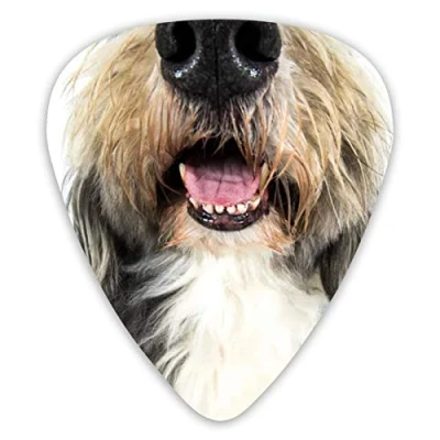 Image of Guitar Picks Dog Bearded Collie Funny Nose Premium Sampler Unique Gift (12 Count)