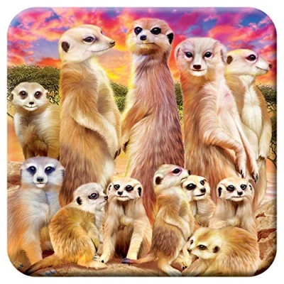 Image of 3D LiveLife Cork Coaster Cool Meerkats from Deluxebase. Lenticular Safari Coaster. Non slip drinks mat with original artwork licensed renowned artist, Michael Searle
