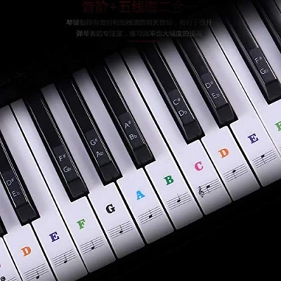 Image of Alnicov Piano Keyboard Stickers for 88/61/54/49/37 Keys,Leave No Residue,Removable Key Beginners Learning or