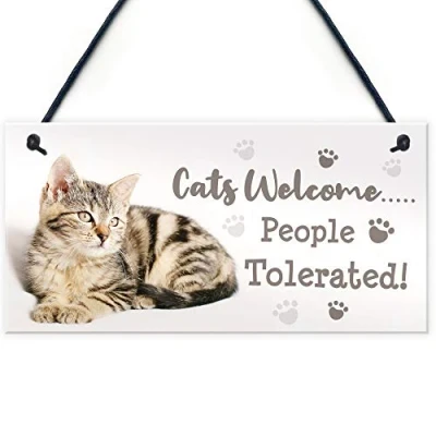 Image of RED OCEAN Cat Signs For Home Funny Hanging House Sign Animal Lover Gifts
