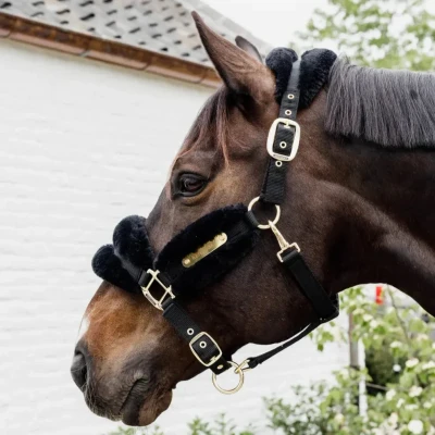 Image of Kentucky Horsewear Nylon Sheepskin Headcollar Soft Black Full Size Horse Halters &amp; Equestrian