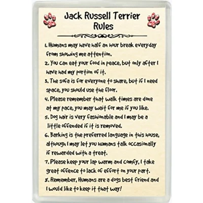 Image of Jack Russell Terrier Rules Humour Jumbo Fridge Magnet Ideal Dog Lover Birthday Gift M138