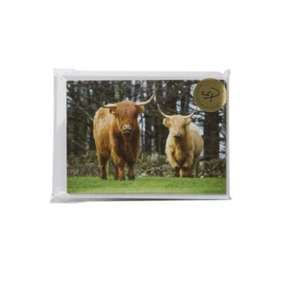 Image of 10 Highland Cattle Notecards with envelopes by Charles Sainsbury Plaice