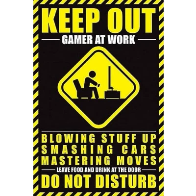 Image of Pyramid Generic Gamer at Work 61 x 91.5cm Maxi Poster, Multi Coloured