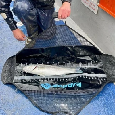 Image of Seadra Weigh and Measure Sling 80cm