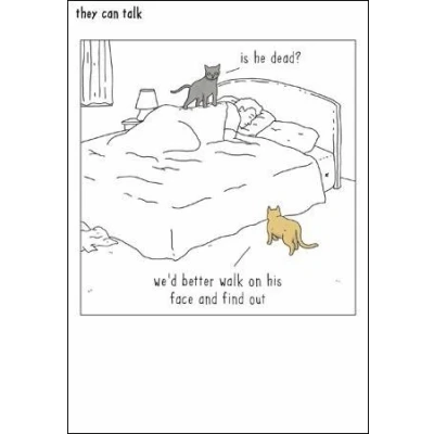 Image of Humorous Blank Card (WDM428784) Walk On Face From The They Can Talk Range Suitable For Birthdays &amp; Other Occasions