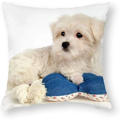 Image of Giftme Bichon Frise Cushion Cover for Bedroom/Sofa Car Chair Decor, 40 Cm X Satin Cover, Throw Pillow Cover.