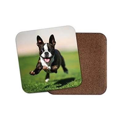 Image of 1 x Cute Boston Terrier Puppy Coaster Dog Dogs Pets Animals Mum Auntie #16619