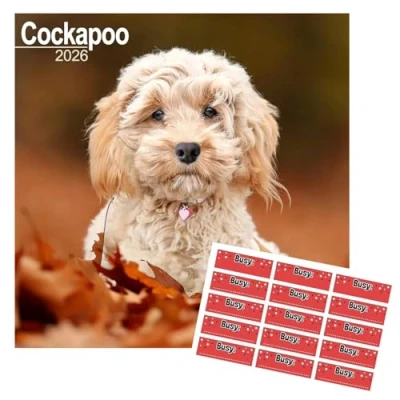 Image of Cockapoo Calendar 2025 16 months with FREE Organisational Stickers