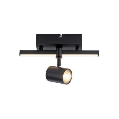 Image of Paul Neuhaus LED downlight Barik, 26 cm, adjustable