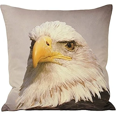 Image of Riva Paoletti Animal Eagle Cushion Cover Print Design Faux Suede Hidden Zip Closure Machine Washable 100% Polyester 45 x 45cm (18&quot; 18&quot; inches) Designed in the UK