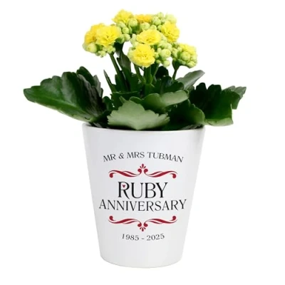 Image of The Gift Experience Personalised Ruby Wedding Anniversary Plant Pot Gift, Ruby, Gifts, Garden Gifts