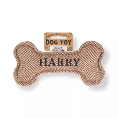 Image of History &amp; Heraldry Squeaky Dog Toy (Harry)