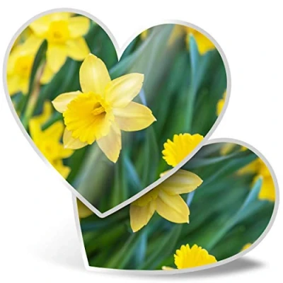 Image of 2 x Heart Stickers 15 cm Daffodil Flower Field Easter Fun Decals for Laptops,Tablets,Luggage,Scrap Booking,Fridges, #14350