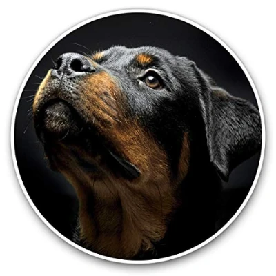 Image of 2 x Heart Stickers 10 cm Rottweiler Dog Animals Pets Fun Decals for Laptops,Tablets,Luggage,Scrap Booking,Fridges #8616