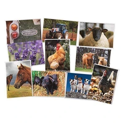 Image of 10 Large Countryside Greeting Card Collection with envelopes. Blank on The Inside for All Occasions
